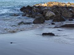 ORAN 2005 PARADIS PLAGE APRES MIDI D HIVER  (2)